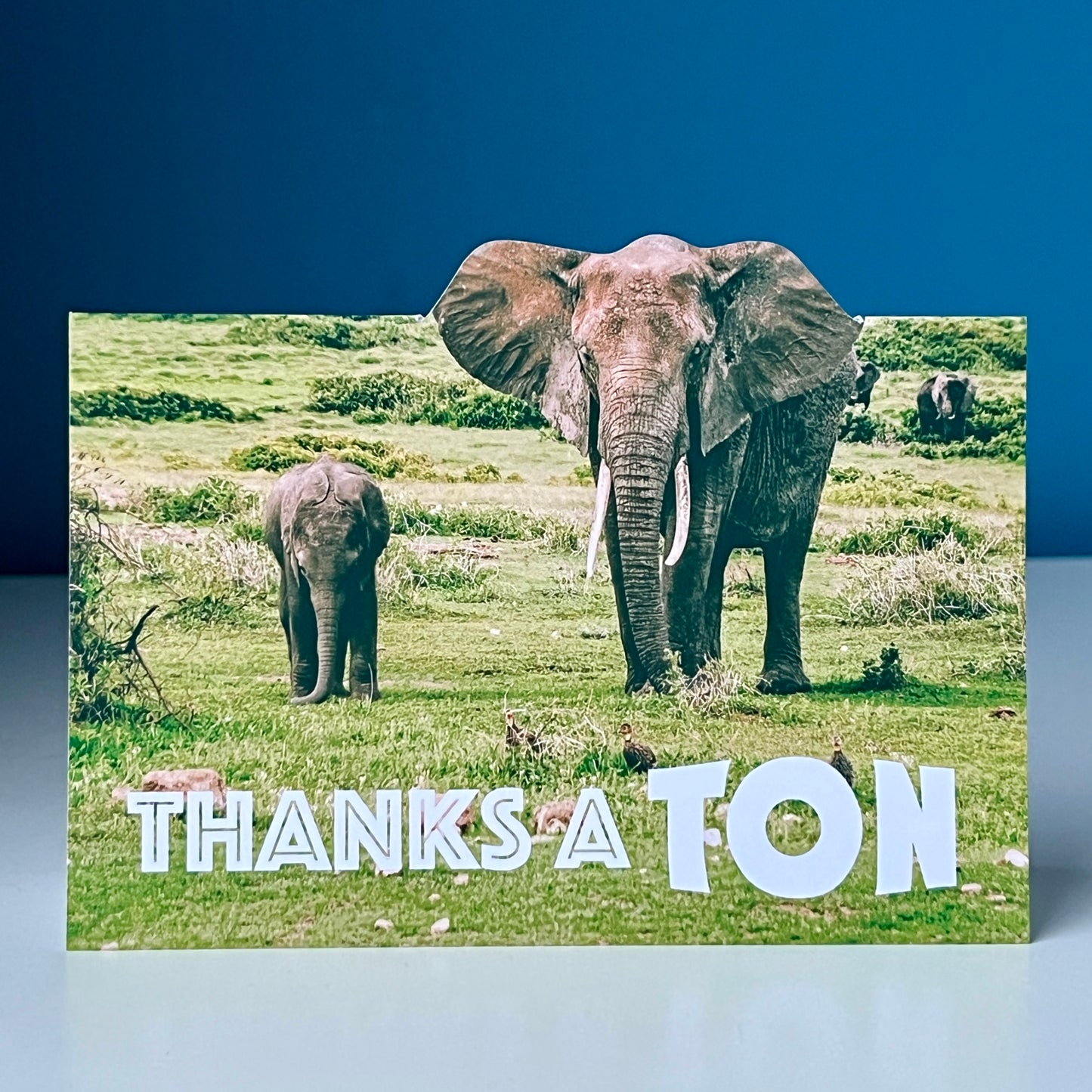 Thanks a Ton Greeting Card