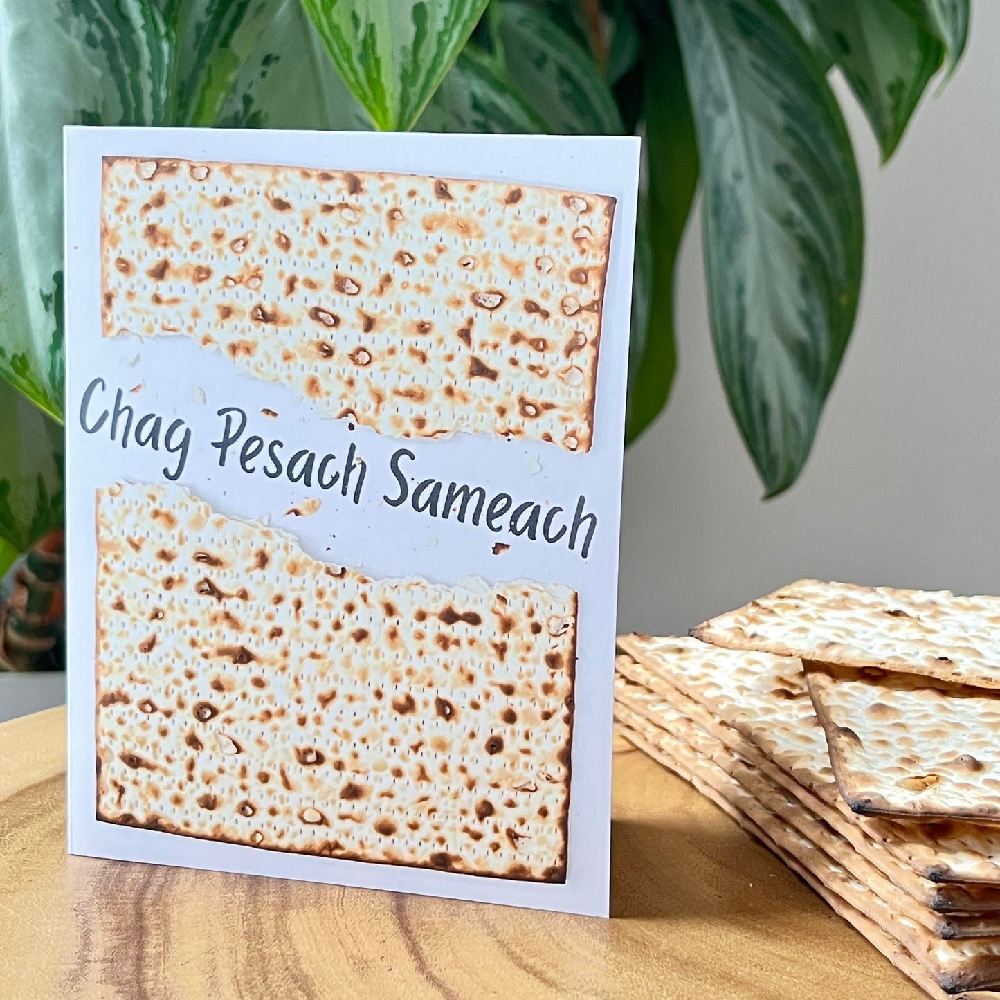 Matzah Passover Chag Pesach Sameach Greeting Card