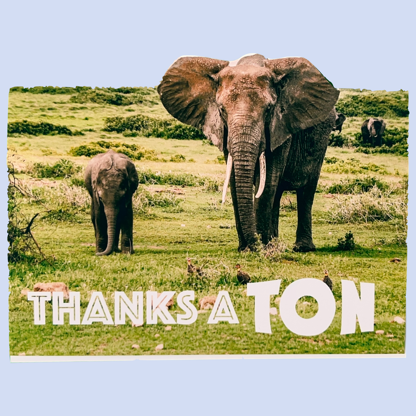 Thanks a Ton Greeting Card